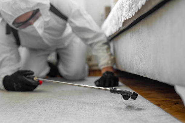 Professional Cockroach Control technician working in Fairbanks, AK