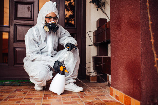 Reliable Cockroach Control contractor in Fairbanks, AK by Nex Pest Control